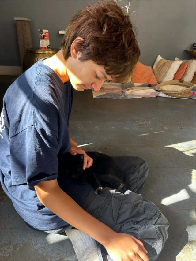 Here at Fusion Santa Barbara, one of our absolute favorite field trips is our walk up State Street to the Cat Café! 🐾☕️💛
Pictured here is A, who is a true cat enthusiast — and honestly, same. 😸 Seeing students light up around animals is one of the sweetest parts of our job, and we love fostering their passions both inside and outside the classroom.
Building community, getting fresh air, and bonding over adorable kittens? Count us in every time! 🌞🐈‍⬛✨

#FusionAcademy #FusionAcademySantaBarbara #CatCafeSB #StudentLife #FieldTripFun #ExperientialLearning #SantaBarbaraSchools #StateStreetSantaBarbara #ILoveCats #AnimalLovers #OneToOneEducation #PrivateSchoolLife #AlternativeEducation #FusionFieldTrips